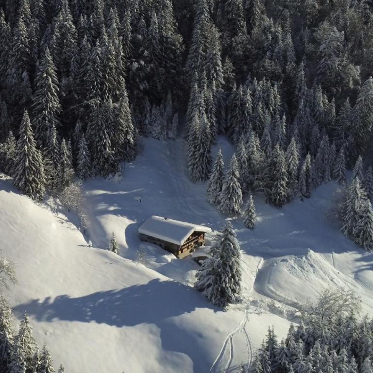 Chalet Philomena - Chalet - 3