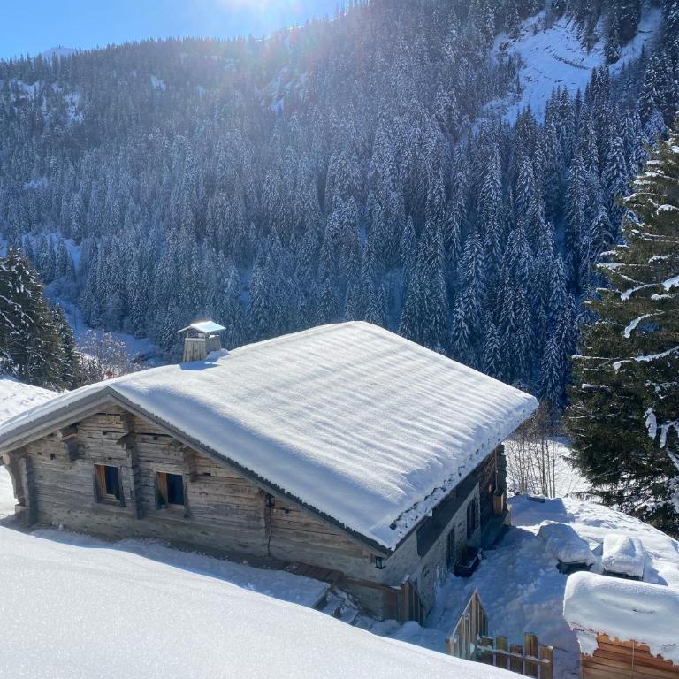Chalet Philomena - Chalet - 5