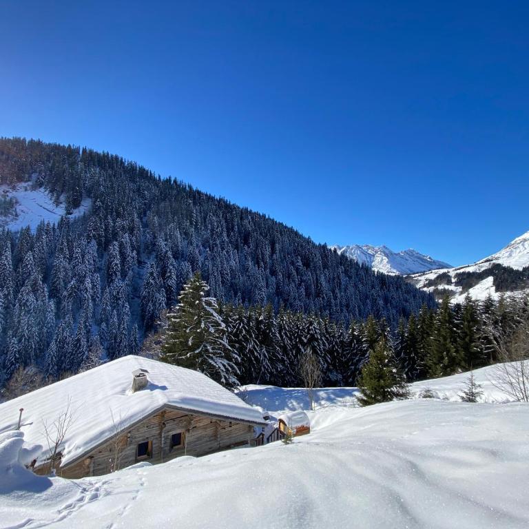 Chalet Philomena - Chalet - 6