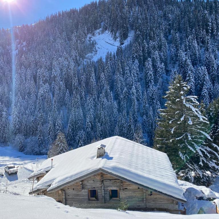 Chalet Philomena - Chalet - 38