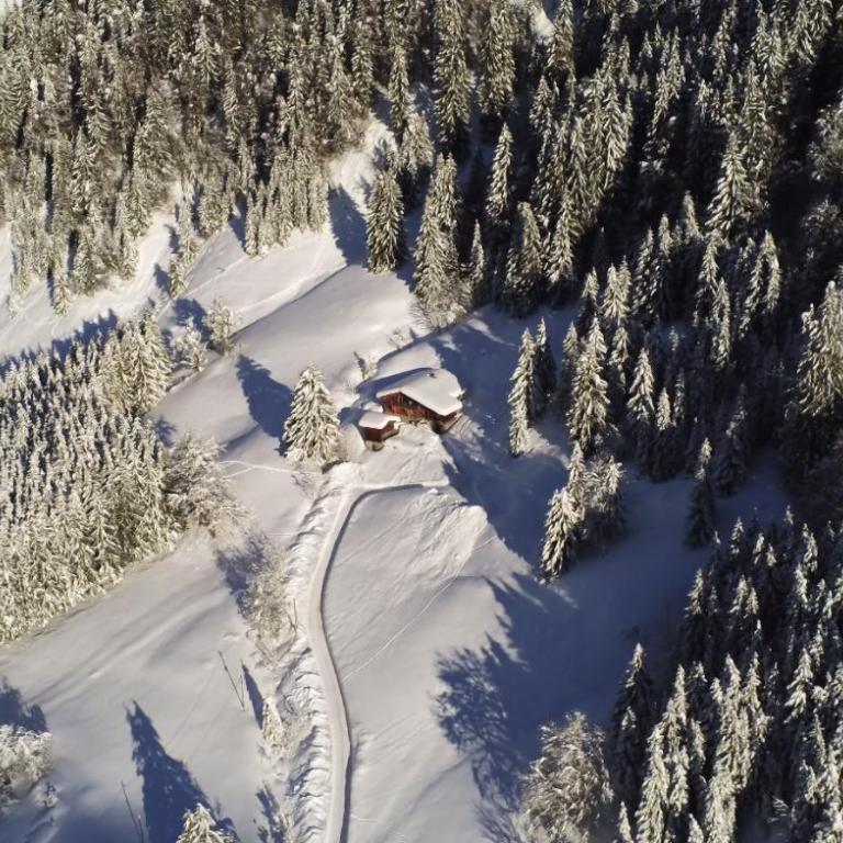 Chalet Philomena - Chalet - 41