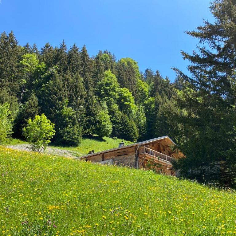 Chalet Philomena - Chalet - 54