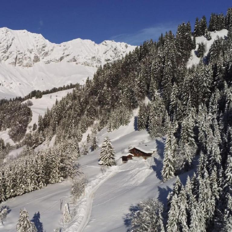 Chalet Philomena - Chalet - 39