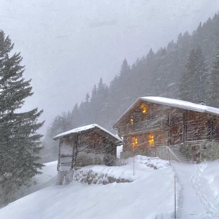 Chalet Philomena - Chalet - 42