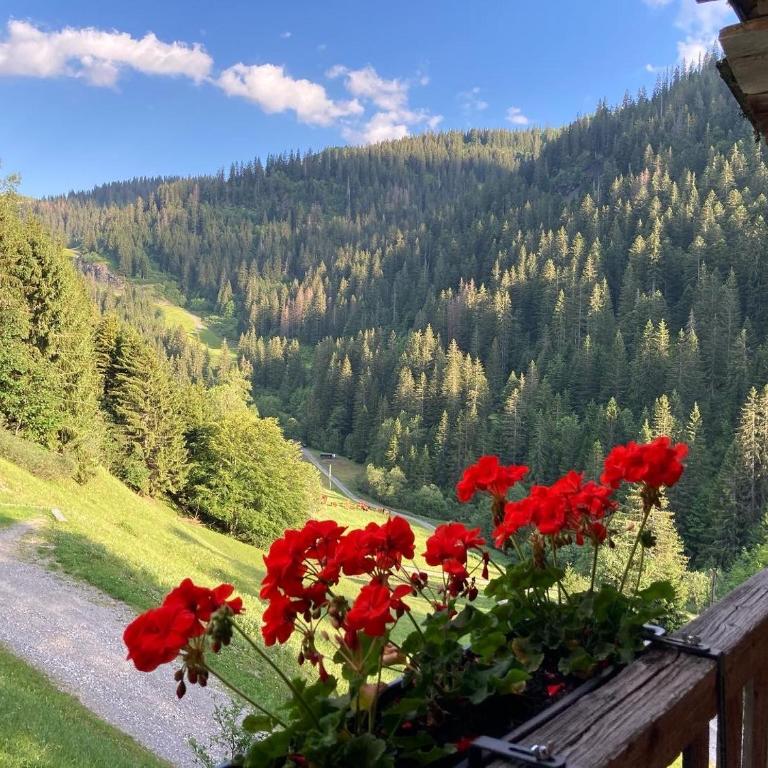 Chalet Philomena - Chalet - 74