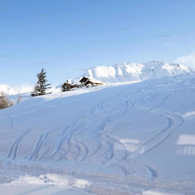 Résidence Le Sapporo - Studio divisible 4/5 pers. LE SAPPORO - PLAGNE VILLAGES - B16SA MAE-1664 - Appartement - 6