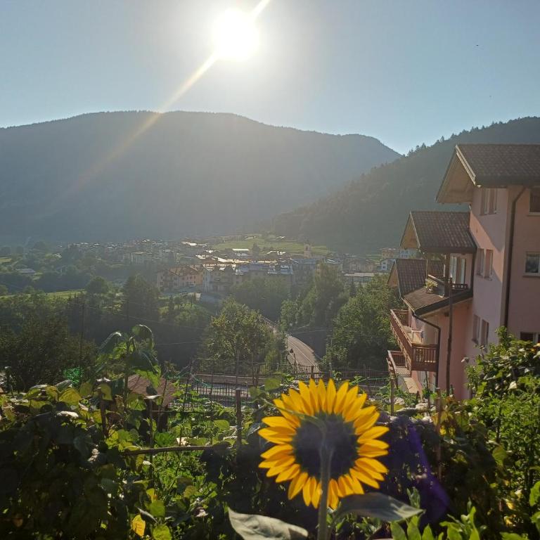 Mirabel Suite - Lovely Home - - Apartment mit 2 Schlafzimmern und Aussicht - 44