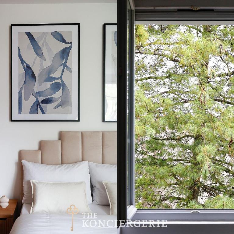 BM Signature design Studio lumineux - Appartement - 13