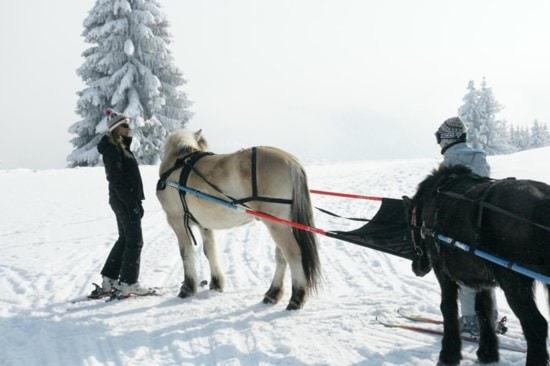 Grenier savoyard on se sent bien - Chalet con 2 Camere da Letto - 13