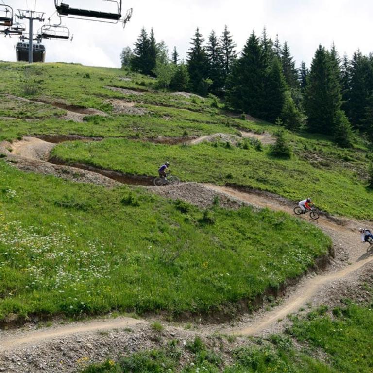 Grenier savoyard on se sent bien - Chalet con 2 Camere da Letto - 19