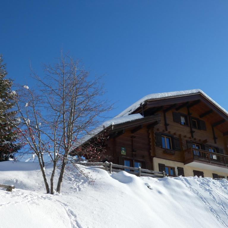 Beau chalet 10 pers. à 20m des pistes, parking privé - FR-1-467-65 - Chalet (10 Erwachsene) - 23