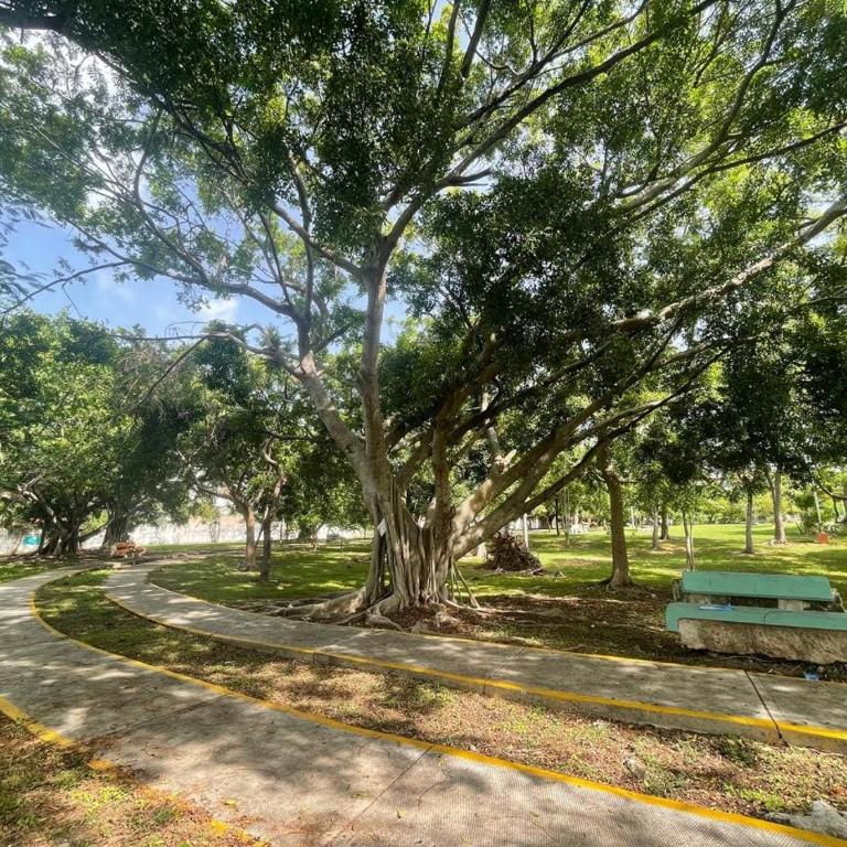 Fun and relax suite beside a park, 10 min to beaches - Apartamento - 24