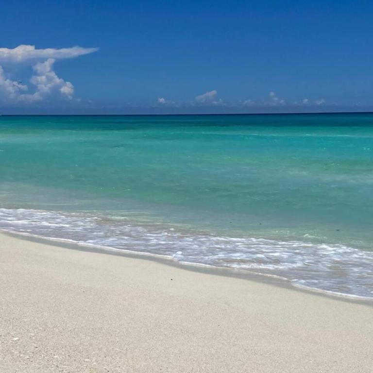 Fun and relax suite beside a park, 10 min to beaches - Apartamento - 25