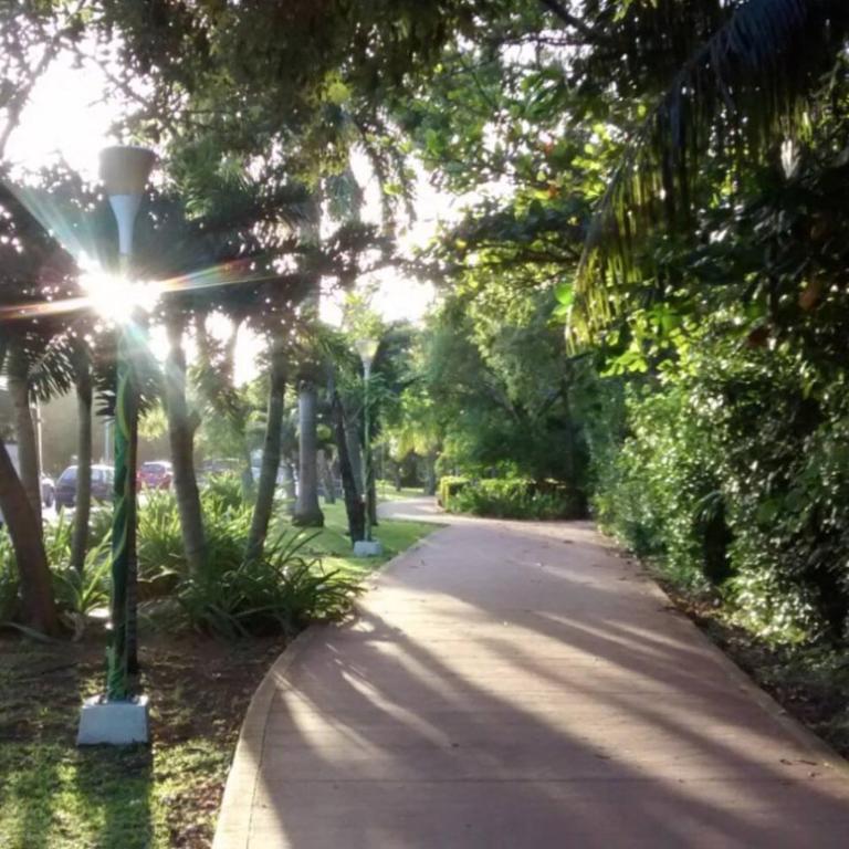 Fun and relax suite beside a park, 10 min to beaches - Apartamento - 28