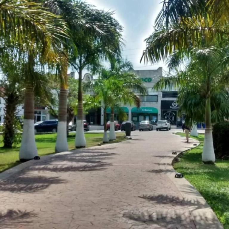 Fun and relax suite beside a park, 10 min to beaches - Apartamento - 30