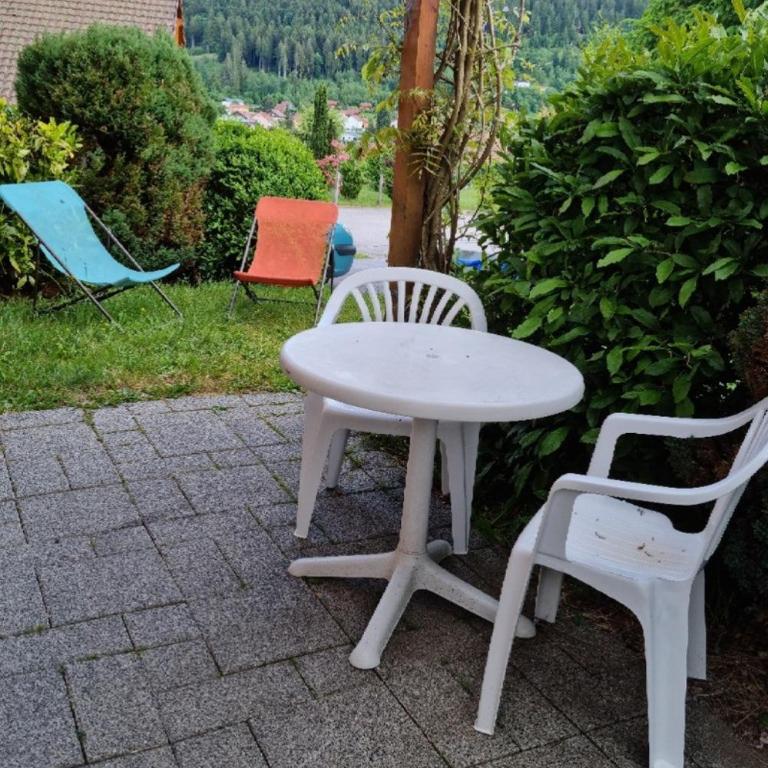 Chalet avec mezzanine 4 étoiles, Saint Mamet, jusqu'à 10 couchages, proche du lac de Gérardmer des commerces et des pistes de ski dans un quartier calme - Villa 3 Chambres - 24