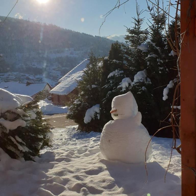Chalet avec mezzanine 4 étoiles, Saint Mamet, jusqu'à 10 couchages, proche du lac de Gérardmer des commerces et des pistes de ski dans un quartier calme - Villa 3 Chambres - 25