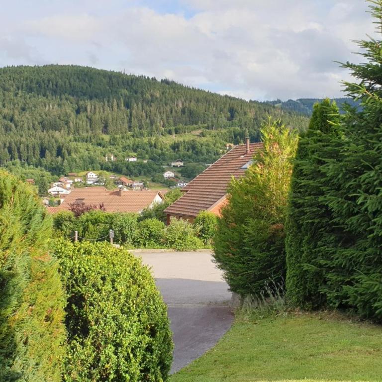 Chalet avec mezzanine 4 étoiles, Saint Mamet, jusqu'à 10 couchages, proche du lac de Gérardmer des commerces et des pistes de ski dans un quartier calme - Villa 3 Chambres - 27