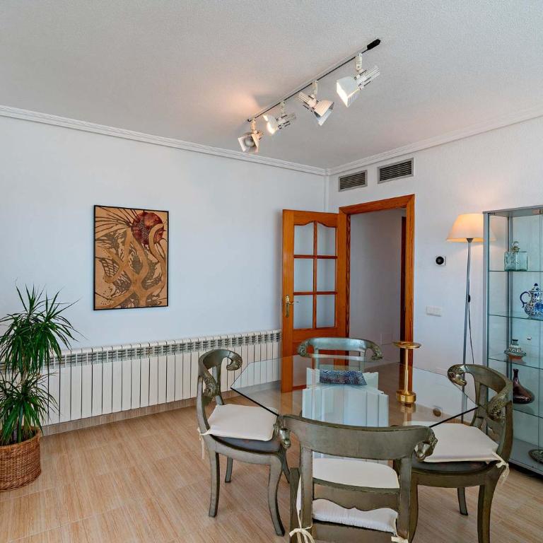 Ático Almería. Paseo marítimo Roquetas de Mar - Apartamento de 1 dormitorio - 40