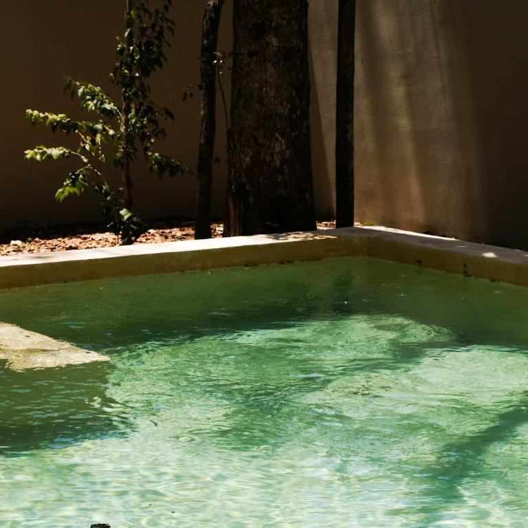 Tulum Jungle Villa 4BR Private Pool - Ferienhaus - 15