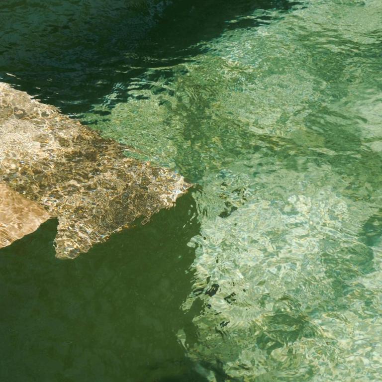 Tulum Jungle Villa 4BR Private Pool - Ferienhaus - 22