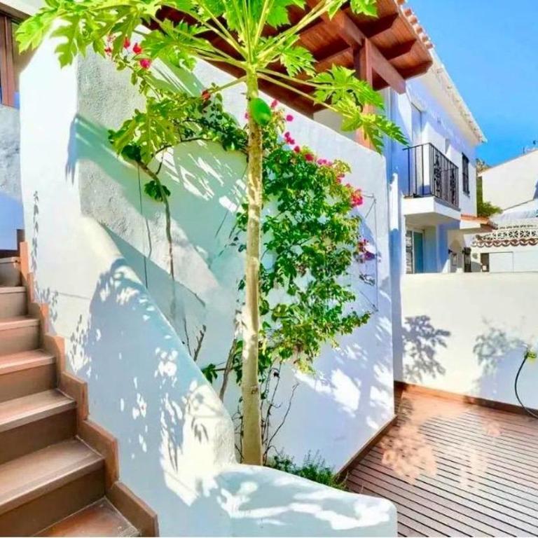 Casa Papaya - Apartamento de 1 dormitorio - 16