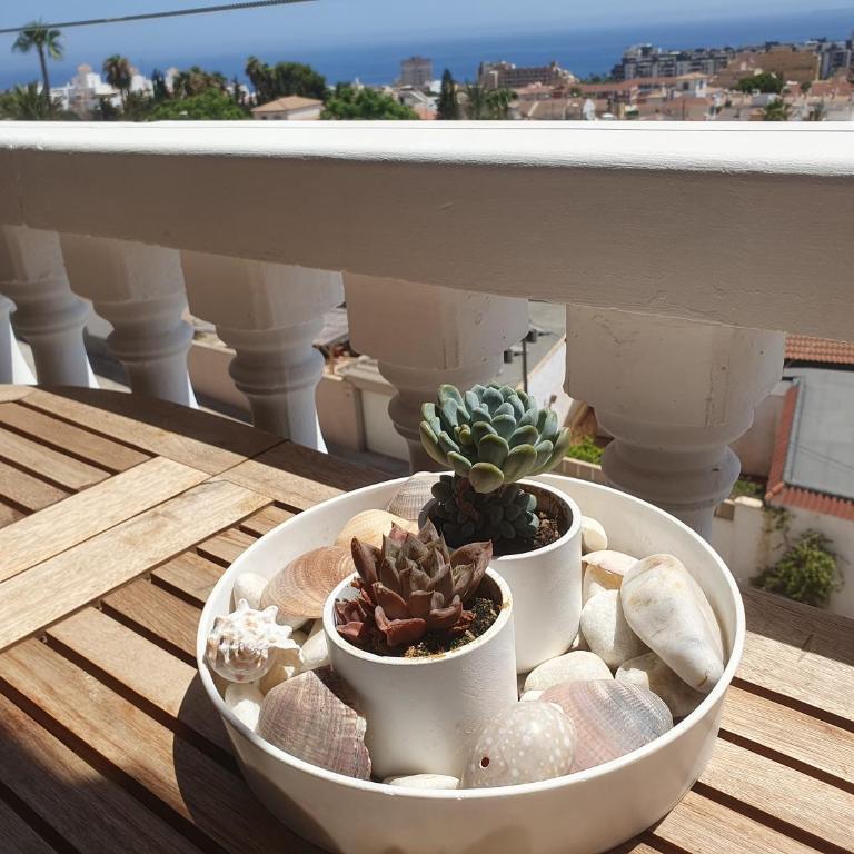 TERRAZA AL MAR - Apartamento con vistas al mar - 31