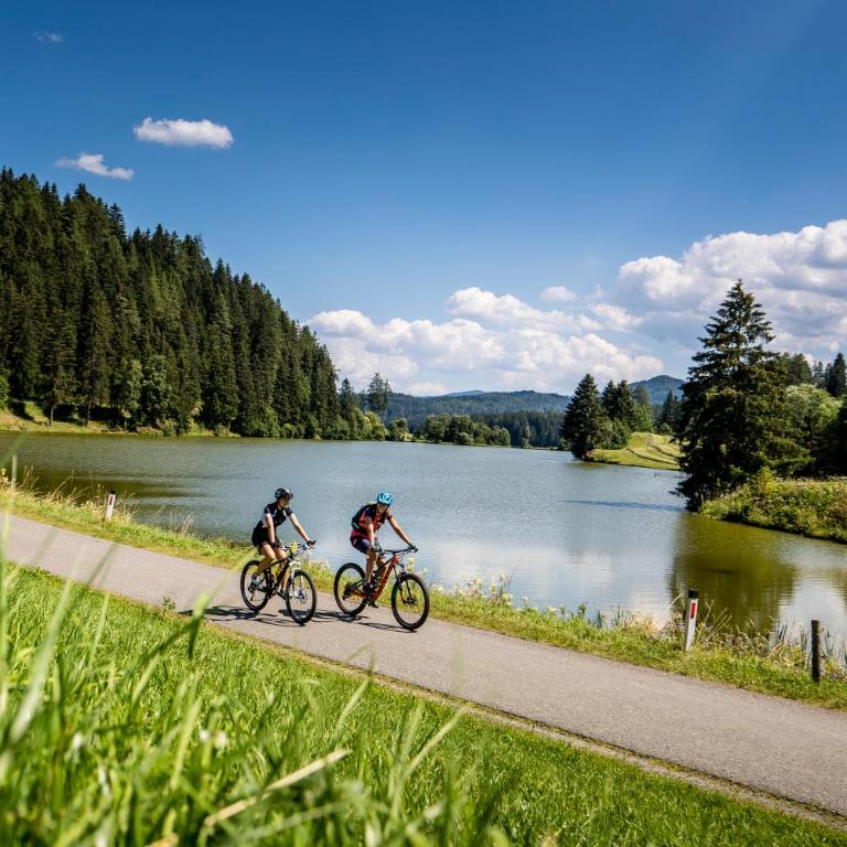 Sonnenchalets Murau by ALPS RESORTS - Superior Chalet mit 3 Schlafzimmern - 8