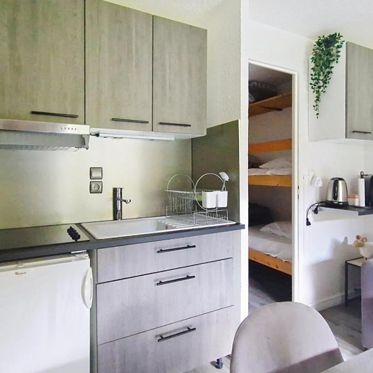 Perce Neige PNC20 NATURE & FAMILY 4 pers - Appartement - 5