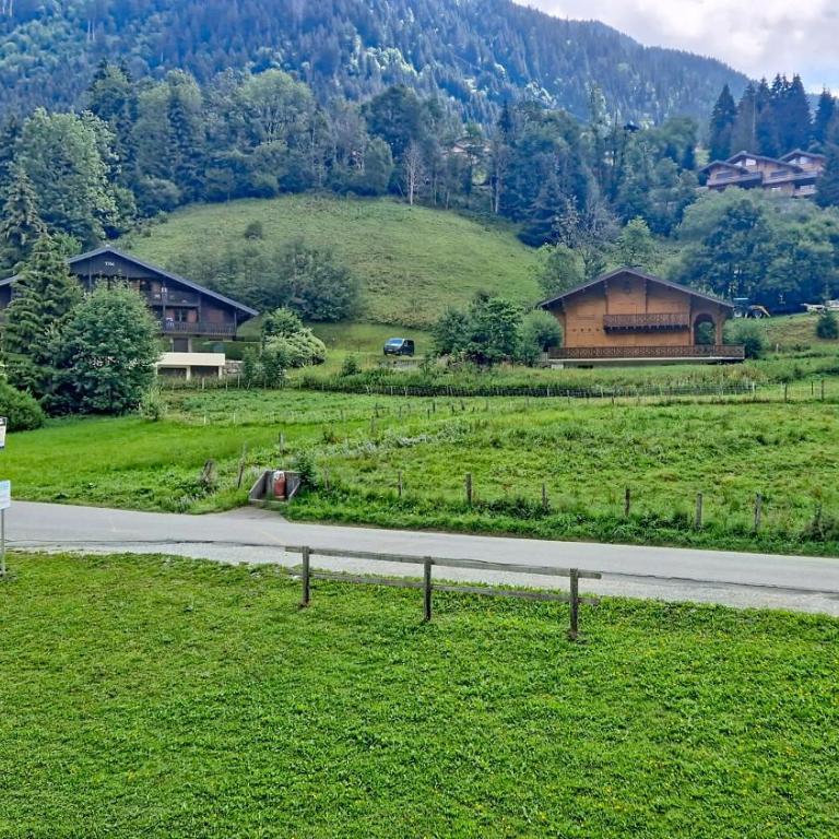 Perce Neige PNC20 NATURE & FAMILY 4 pers - Appartement - 13