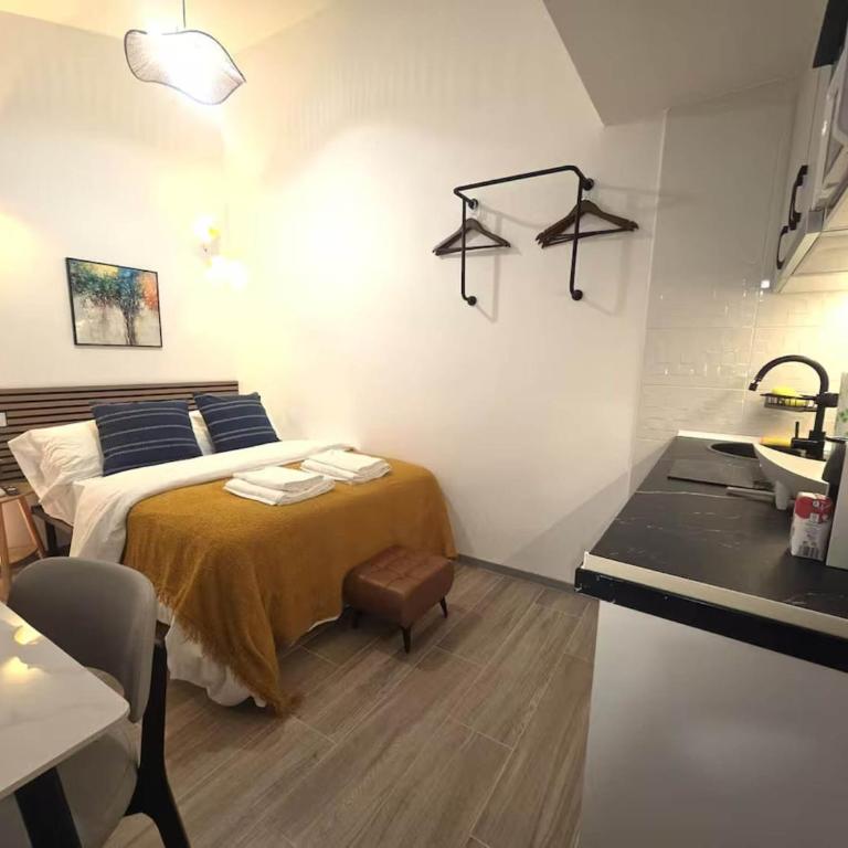 Virelith studio - Apartamento de 1 dormitorio - 1