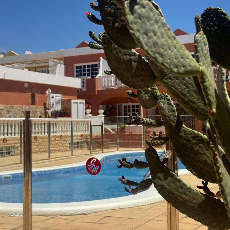 Casa Bougainville - Apartamento de 1 dormitorio - 14