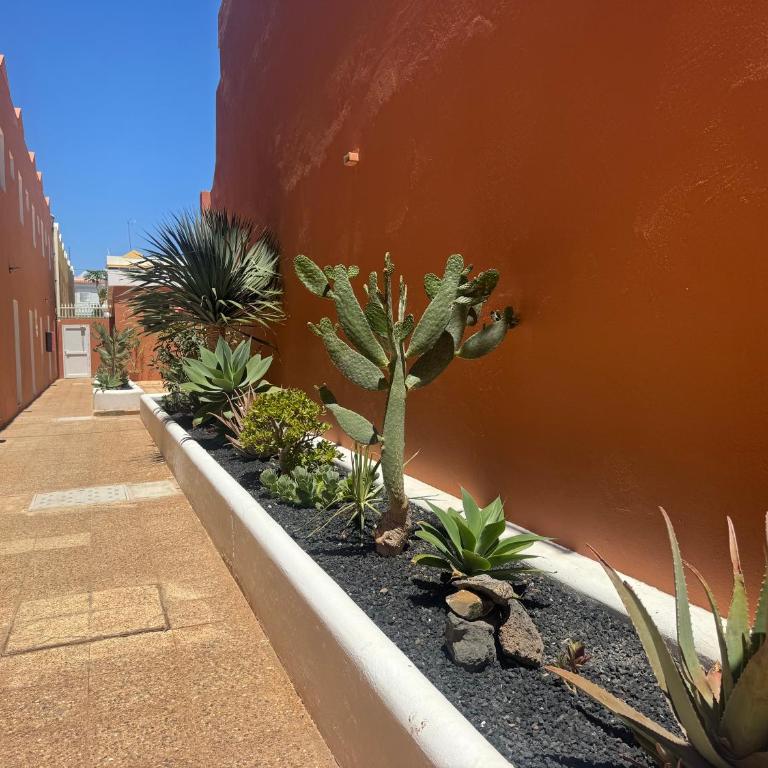 Casa Bougainville - Apartamento de 1 dormitorio - 20