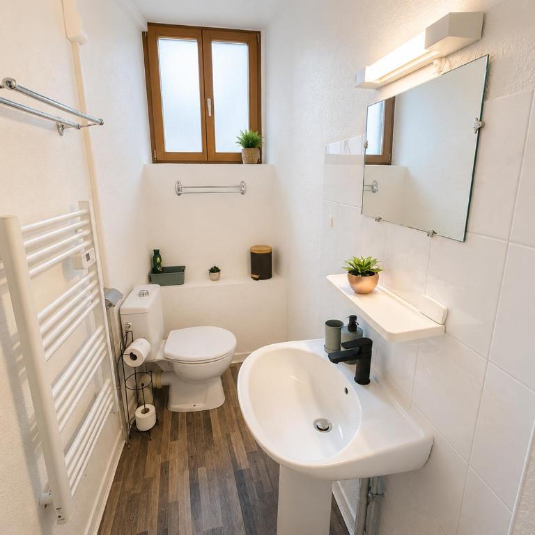 Cocon pèlerin romantique à Lourdes, appartement climatisé à 10 min Sanctuaire & gare - Appartement 1 Chambre - 3