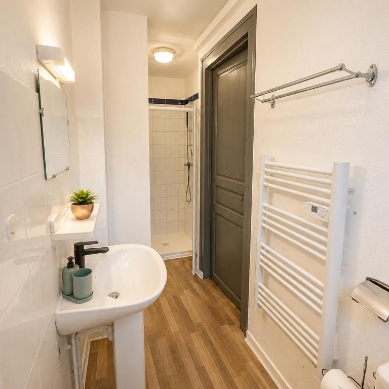 Cocon pèlerin romantique à Lourdes, appartement climatisé à 10 min Sanctuaire & gare - Appartement 1 Chambre - 4