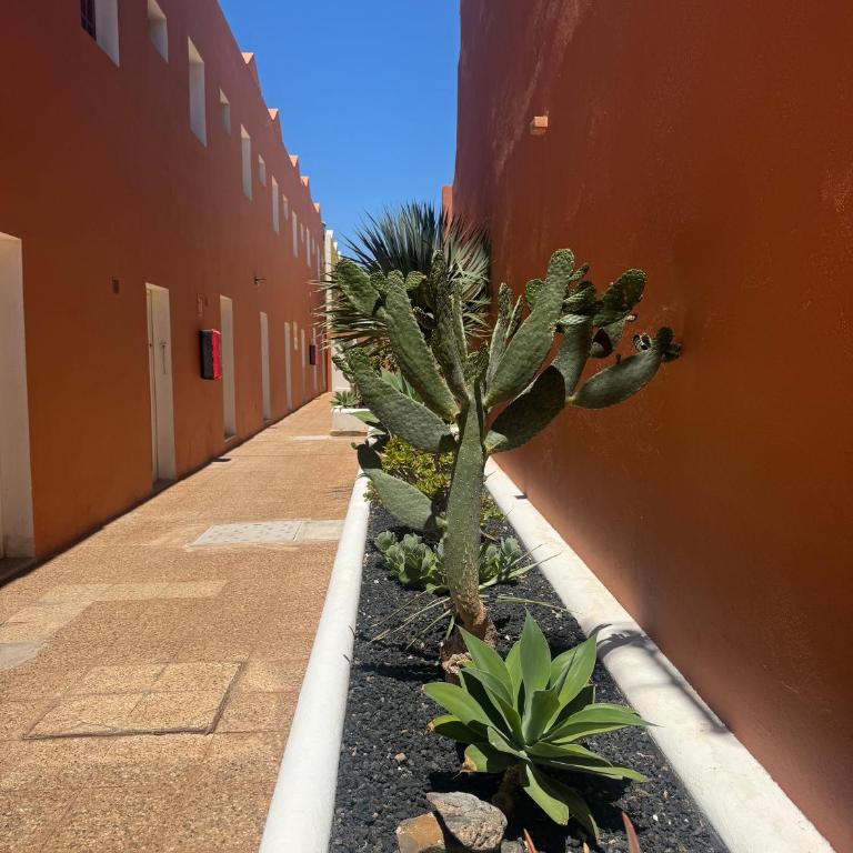 Casa Bougainville - Apartamento de 1 dormitorio - 47