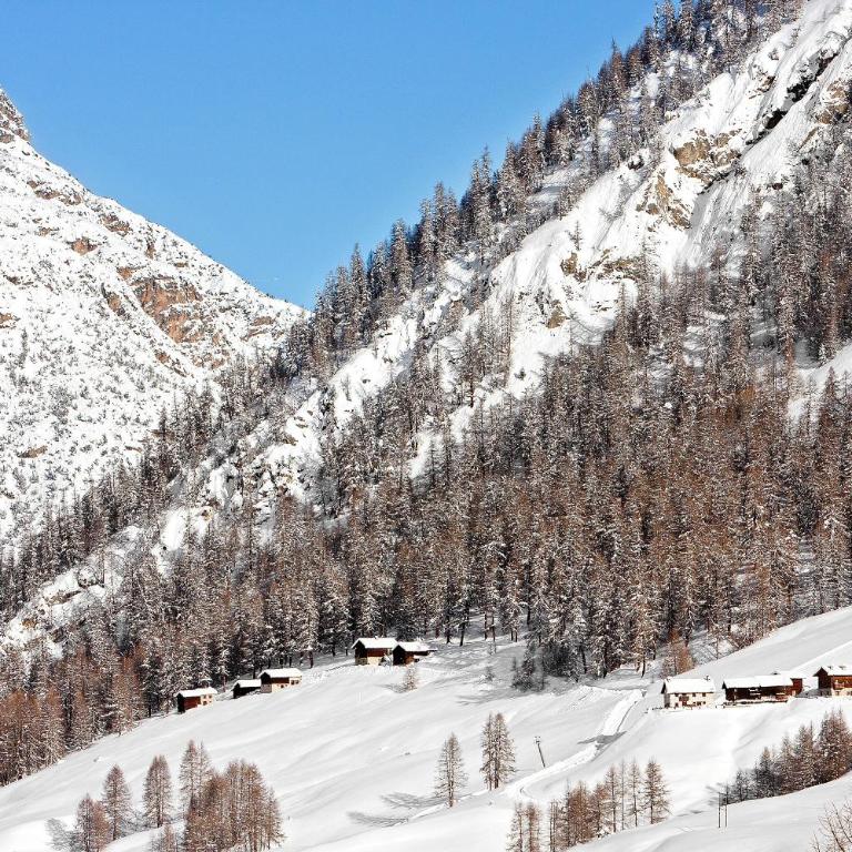 Baita sulle Alpi Livigno - Casa con 2 Camere da Letto - 14