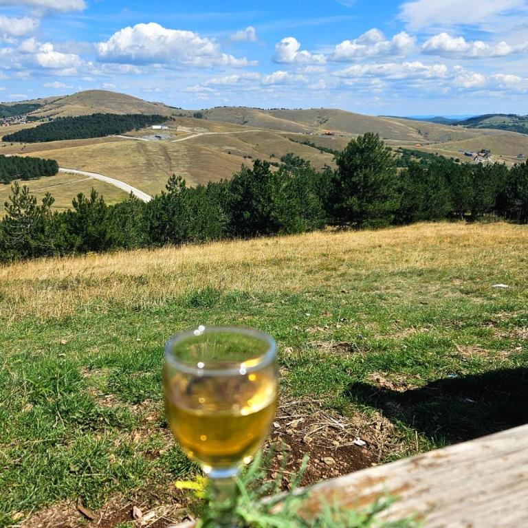 ,,Mi-Bo" Mountain Nest Apartment in Titova Vila Zlatibor - Apartman sa 1 Spavaćom Sobom - 23