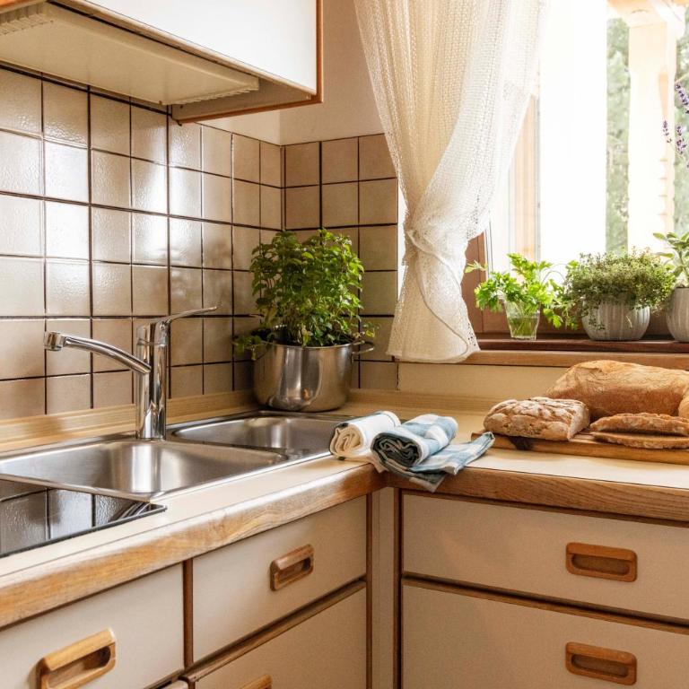 Residence Grünwald - Appartamento Familiare - 1