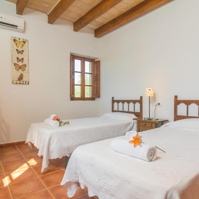Mercader - Villa con piscina privada - 21