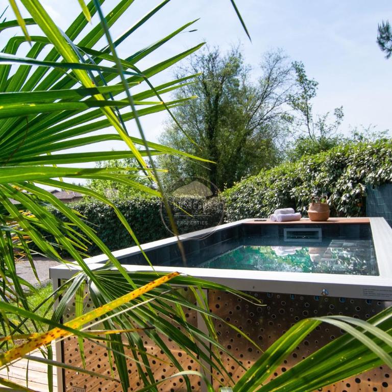 Villa Alaïa - Hossegor - Piste cyclable - Commerce - Villa con 3 Camere da Letto - 58