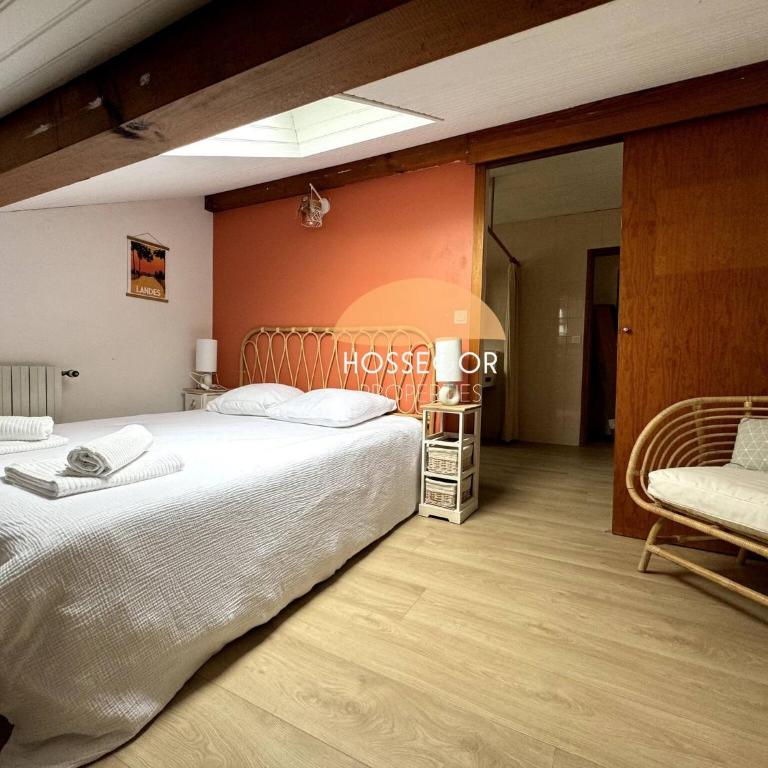 Villa Bonamour - Capbreton - Pool - Port - Plage - Villa - 66