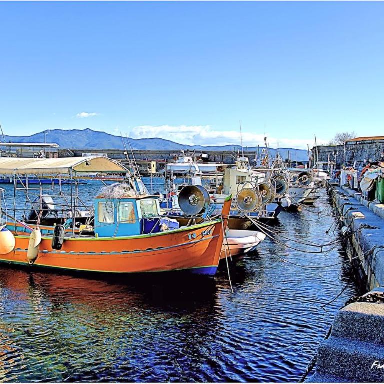 Marinella Beach Studio Vue mer & terrasse, Ajaccio - by TGB - Appartement 1 Chambre - 2