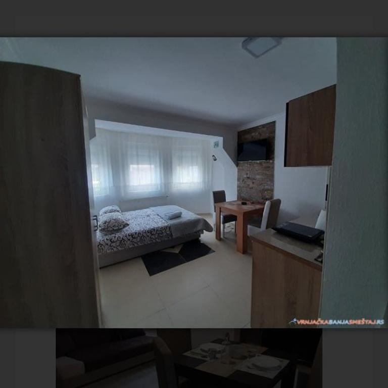 Vila Trnavac - Studio - 1