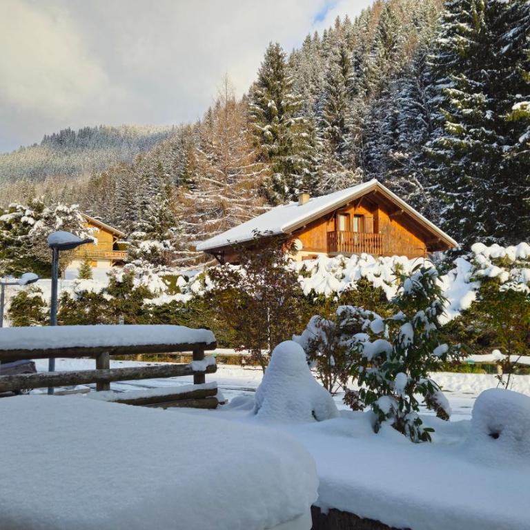Appart 4 pers, ménage compris, parking et terrasse - Appartement 2 Chambres - 17