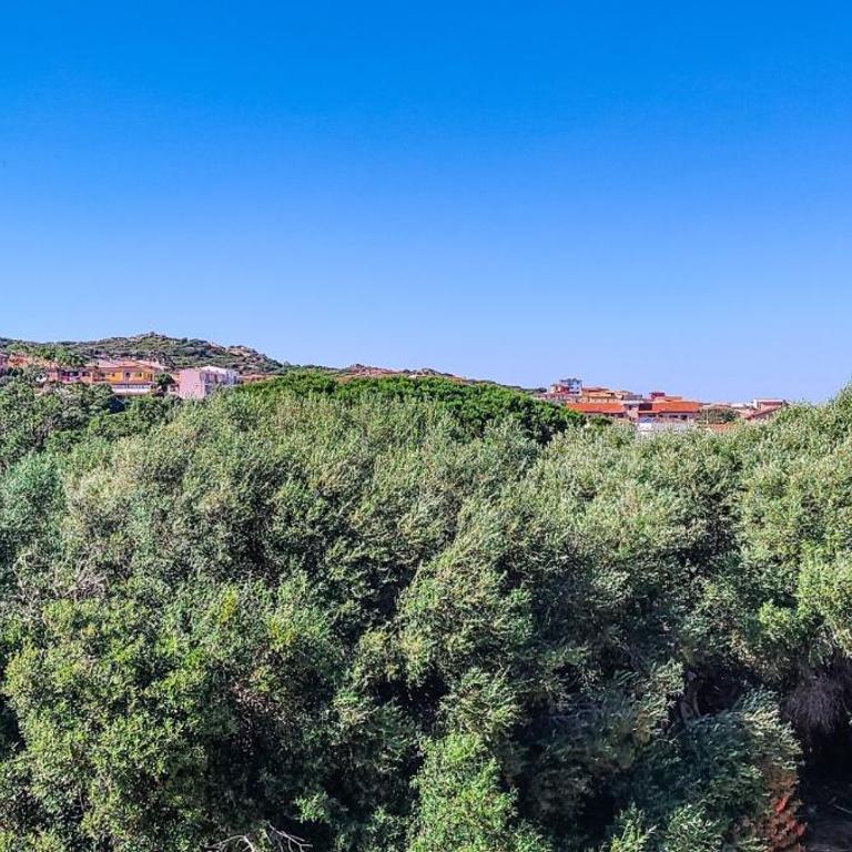 La Chicca - One-Bedroom Apartment - 19
