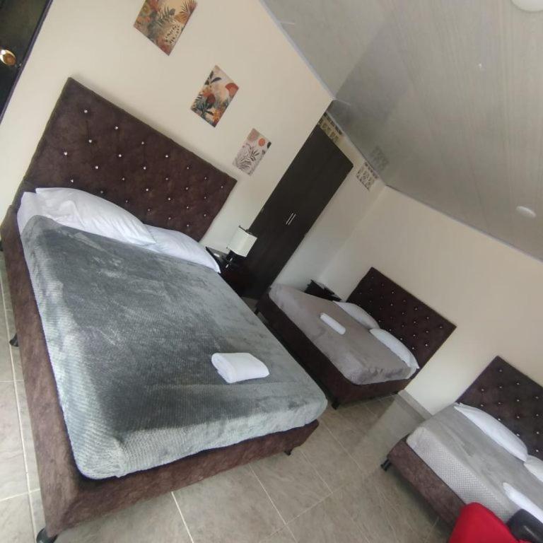Parque de la Familia - Habitación Cuádruple con baño privado - 4