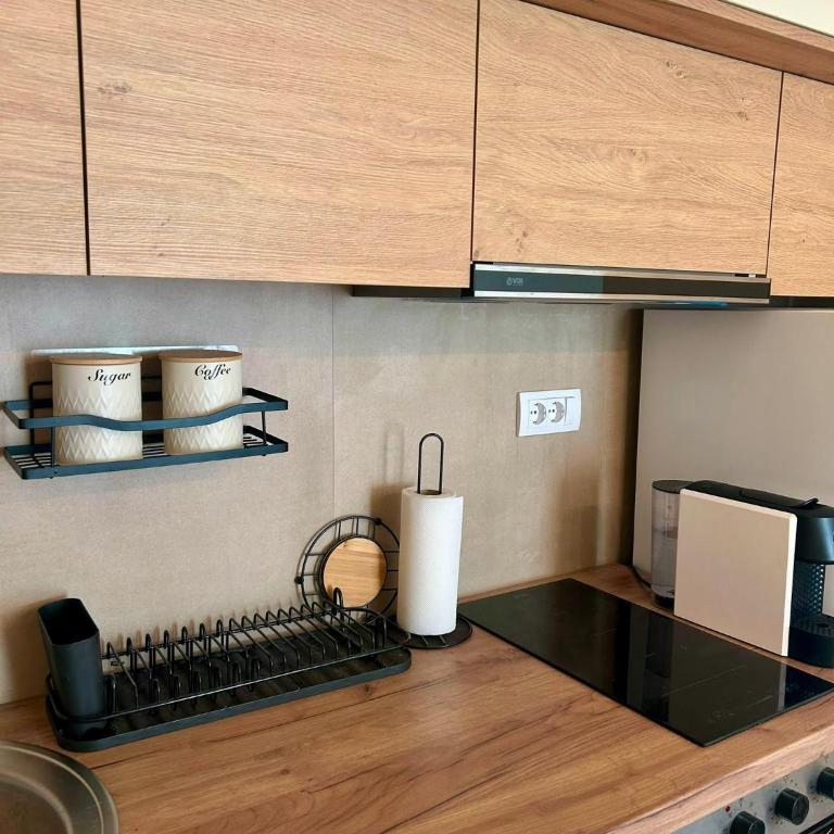 Apartman Alexandria - Apartman sa 1 Spavaćom Sobom - 7