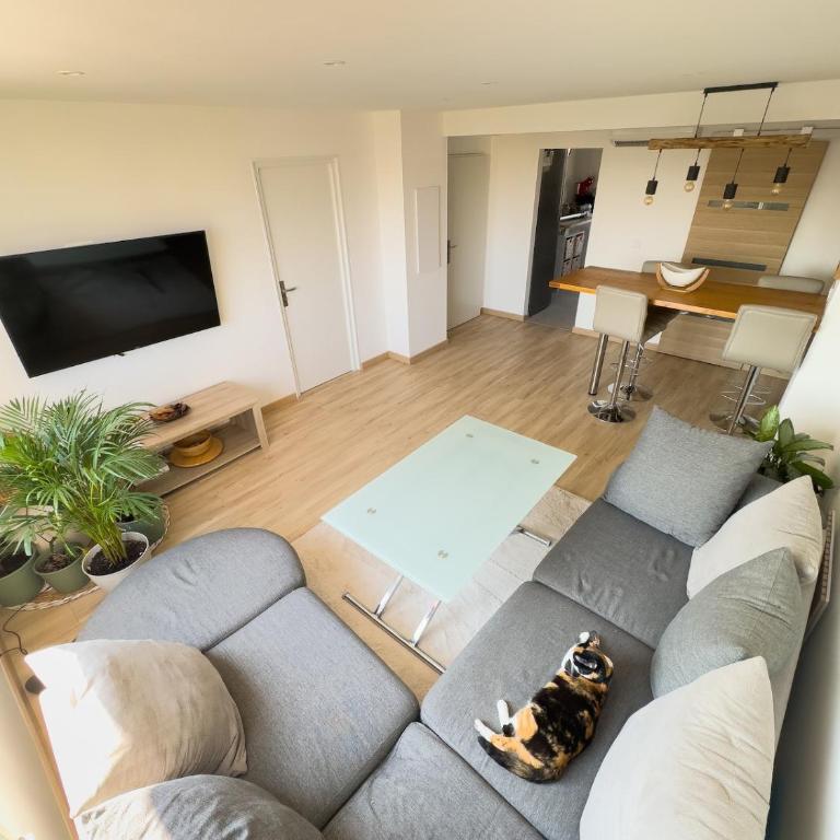 Le Point d'Ancrage Alma, bright and comfortable 2-bedroom - Appartement 1 Chambre - 16