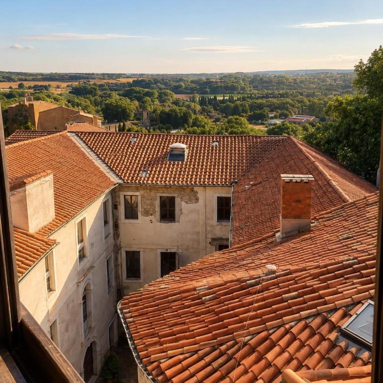 Vue Panoramique - Loft de Charme avec Terrasse - Appartement 1 Chambre - 16
